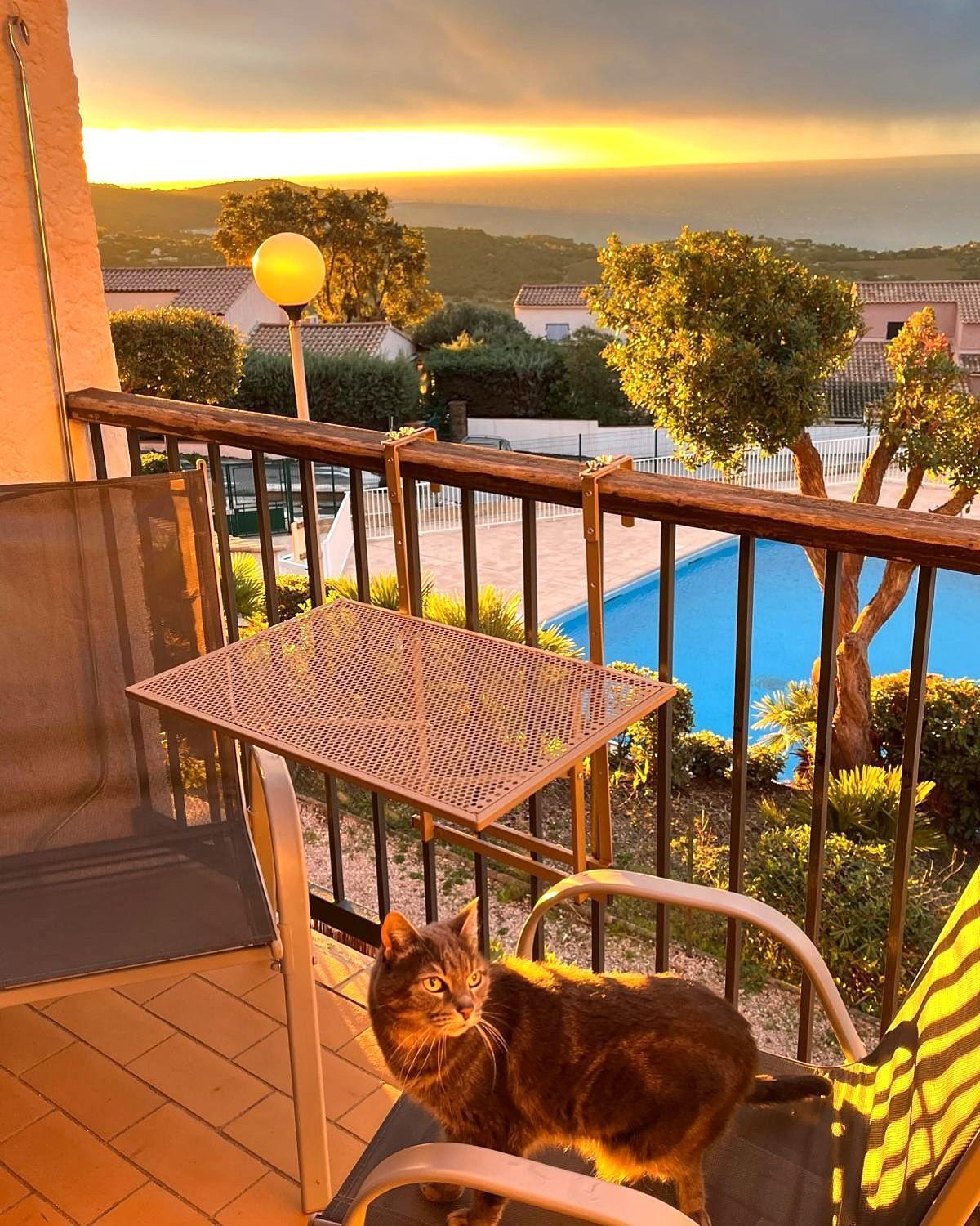 Pool House Vue Panoramique Amazing Sea View Wifi Linge Inclut Linen Included Apartment *